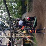 swing in use HG